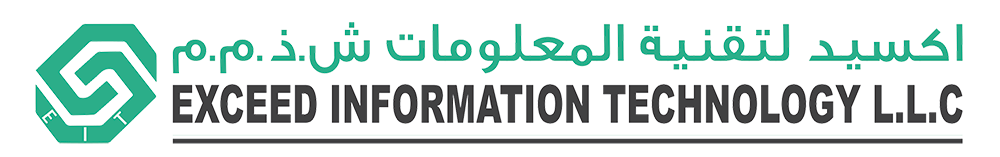  EXCEED INFORMATION TECHNOLOGY L.L.C